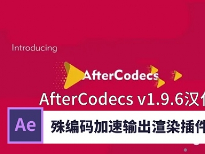 AfterCodecs v1.9.6 Win 中文版